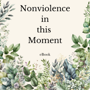 Nonviolence in this Momment eBook