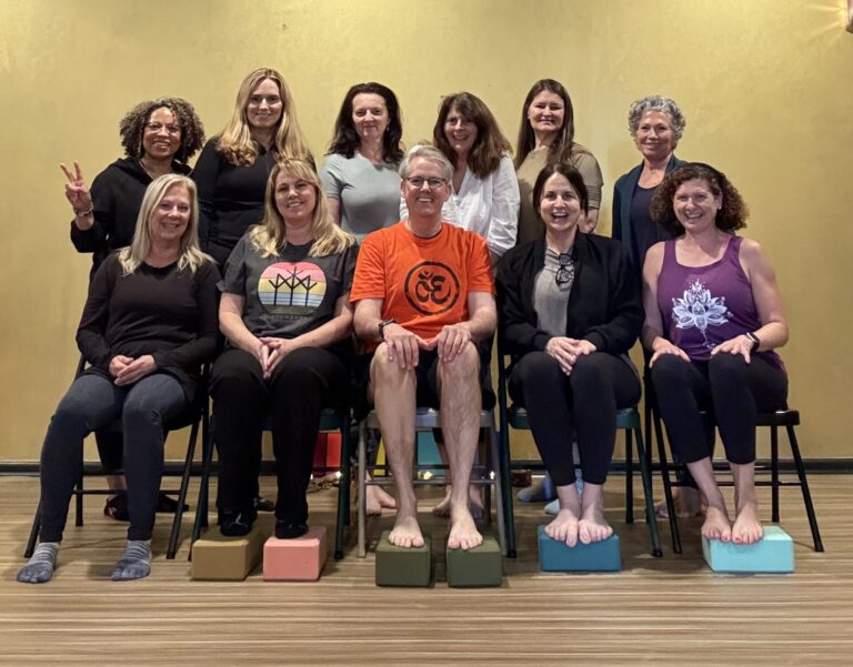 Workshop: Chair Yoga Certification